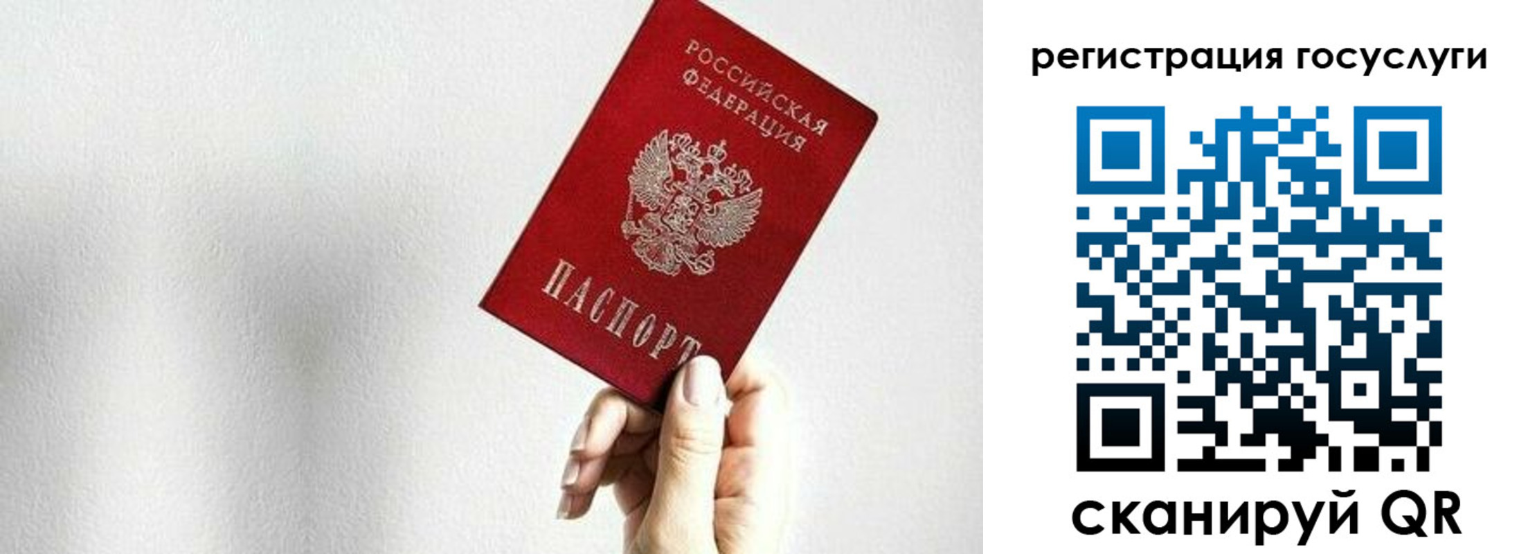прописка гарантия в Сосновке
